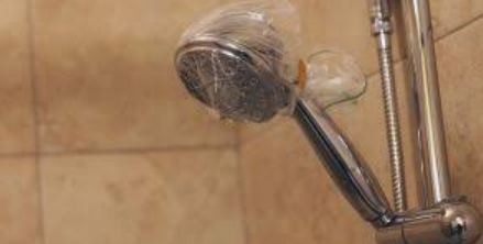 how to clean the shower head